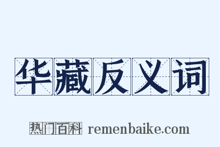 华藏反义词是什么意思的图片